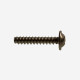 COBRA 6mm screw (645)