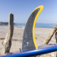 7" longboard single fin - Smoke to gold - VIRAL Surf