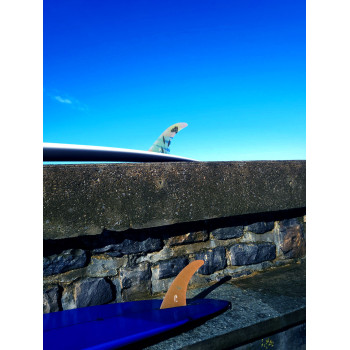 9.75 longboard single fin - Gold tint fiberglass