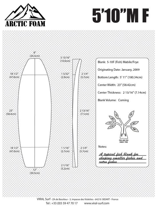 ARCTIC 5'10'' fish